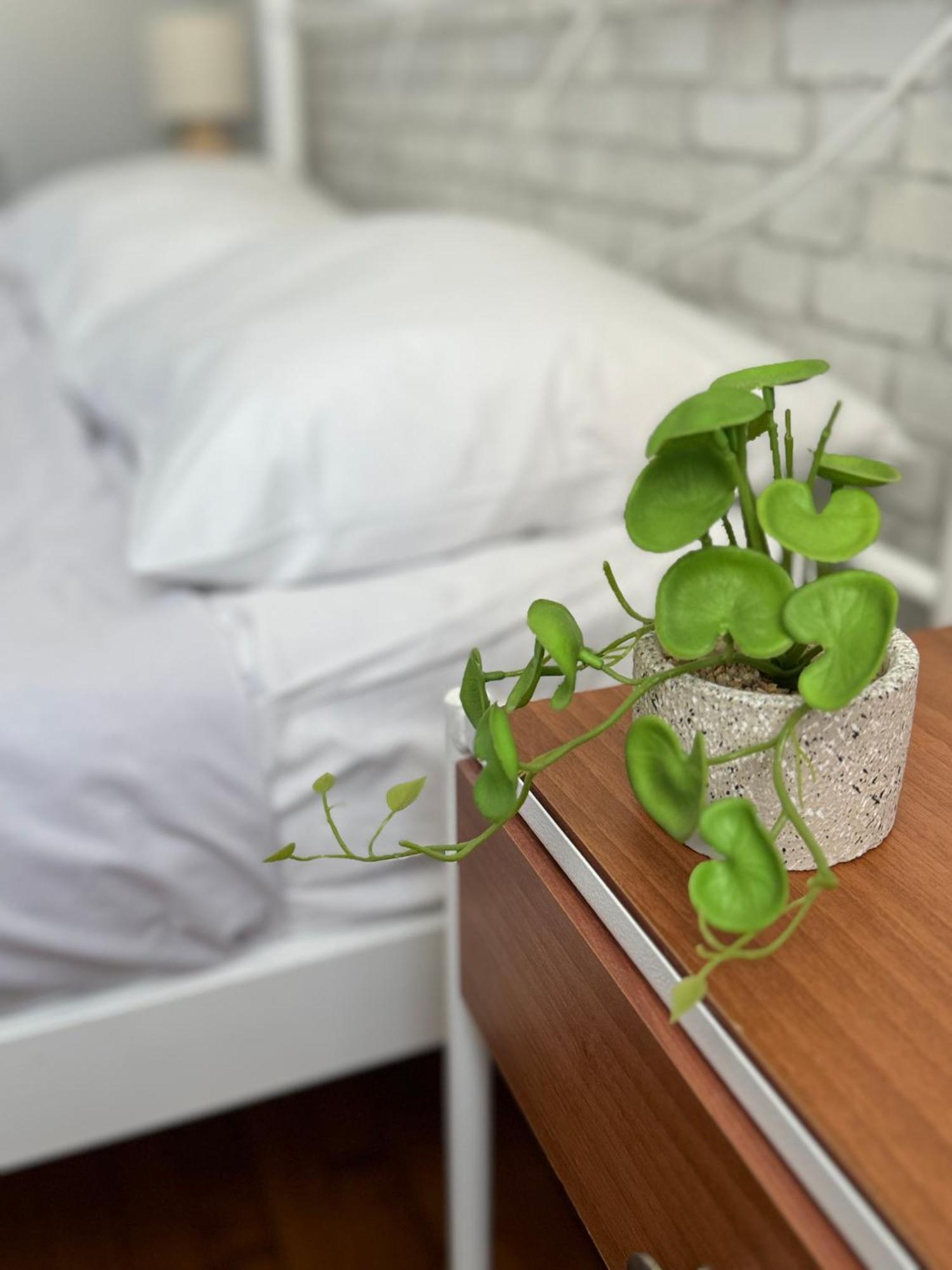 אתונה Cozy Suite With Acropolis View מראה חיצוני תמונה